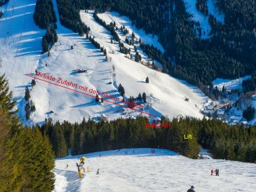 Ferienwohnung Babsi-Alm Typ E