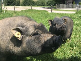 Apartamento de vacaciones Maria Alm Entorno 39