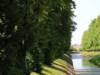 Apartment Damshagen Umgebung 33