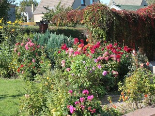 Apartment Kühlungsborn Außenaufnahme 5