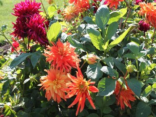 Apartamento Kühlungsborn  38