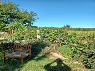 Bungaló Neukloster Grabación al aire libre 1