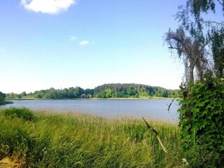 Bungalow Neukloster Umgebung 28