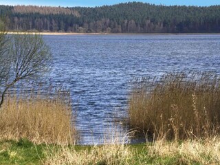 Bungaló Neukloster Entorno 32