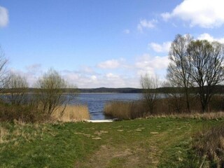 Bungaló Neukloster Entorno 37