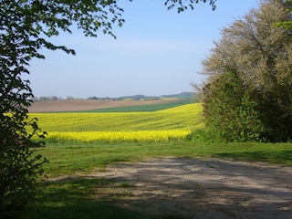 Vakantiehuis Satow Omgeving 17