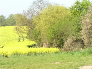 Ferienhaus Satow Umgebung 19
