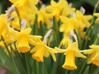 Ferienhaus Satow Außenaufnahme 6