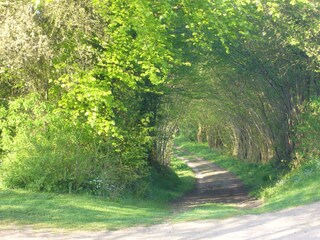 Vakantiehuis Satow Omgeving 29