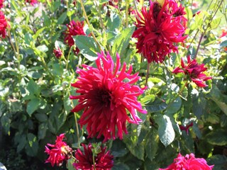 Apartment Kühlungsborn  38