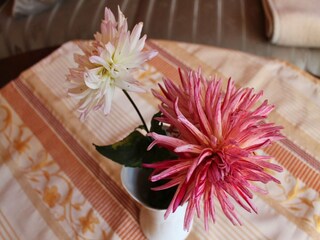 Apartment Kühlungsborn  40