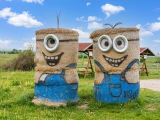Bungaló Fährdorf auf Poel Grabación al aire libre 6