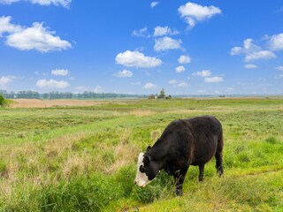 Bungaló Fährdorf auf Poel Entorno 28