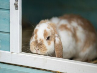 Bungalow Fährdorf auf Poel  36