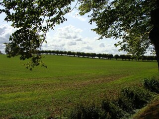 Appartement Klütz Omgeving 40
