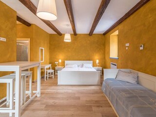 Villa Svetvinčenat Características 17