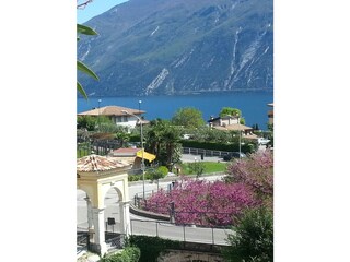 Ausblick aus dem Fruehstuecksterrasse