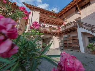 Vakantieappartement Tramin Buitenaudio-opname 5