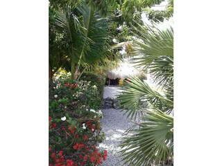 Villa Fontein Registrazione all'aperto 17