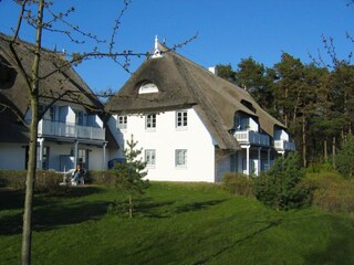 South-west view in the spring