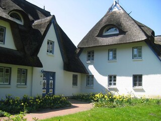 House with the entrance to "Darß" from the north-east