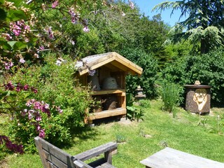 Einblicke ... in den Garten