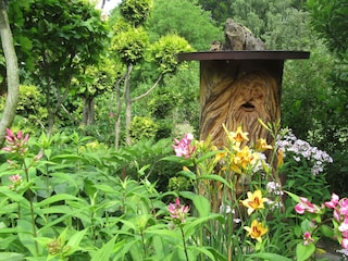 Einblicke in den Garten