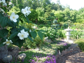 Einblicke in den Garten