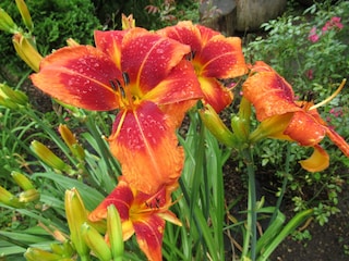 Ferienhaus Pössneck Außenaufnahme 23