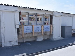 Maison de vacances Bergen aan Zee Environnement 30