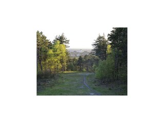 Apartment Bergen aan Zee Environment 35