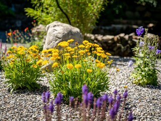 Chalet Ofterschwang Enregistrement extérieur 7