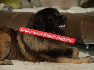 Chalet Ofterschwang Ausstattung 22