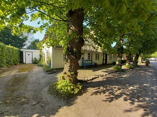 Ferienhaus Nieblum Außenaufnahme 3