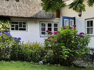 Hintertür führt direkt in den Garten