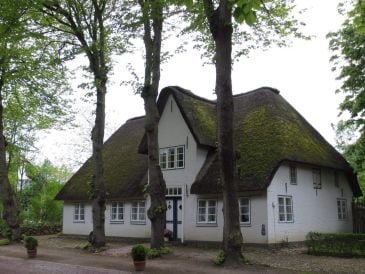 Ferienhaus Haus Lotte