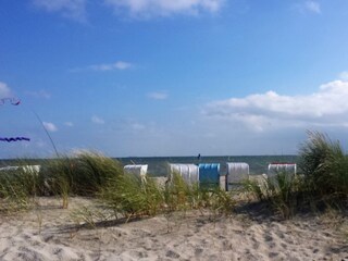 Am Nieblumer Strand
