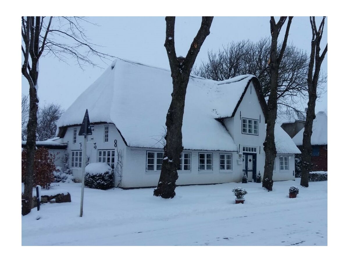 Haus Lotte im Winter