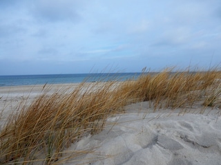 Ferienwohnung Timmendorfer Strand Umgebung 12