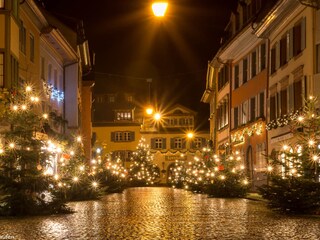 Appartamento per vacanze Staufen im Breisgau Ambiente 20