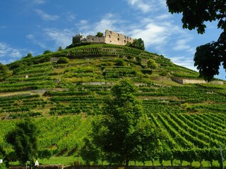 Apartamento de vacaciones Staufen im Breisgau Entorno 21