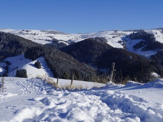 Apartamento de vacaciones Staufen im Breisgau Entorno 24