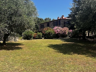 Vakantiehuisje Ravi Omgeving 15