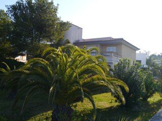 View into the garden