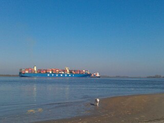 am Elbstrand