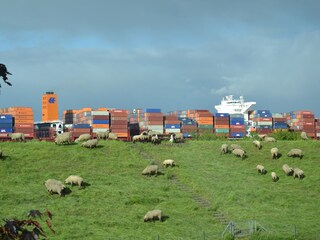 Elbdeich