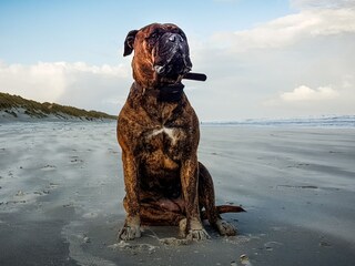 Appartamento per vacanze Buren Ambiente 13