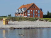 Strandschwalbe im Ostseeblick