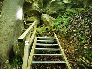 Casa per le vacanze Schankweiler Ambiente 24