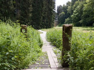 Casa per le vacanze Schankweiler Ambiente 25